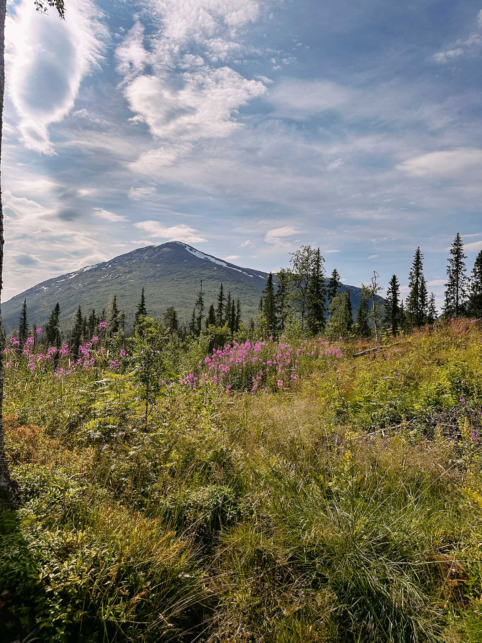Kategorie-Reisetipps bewegteszuhause Reisetipps